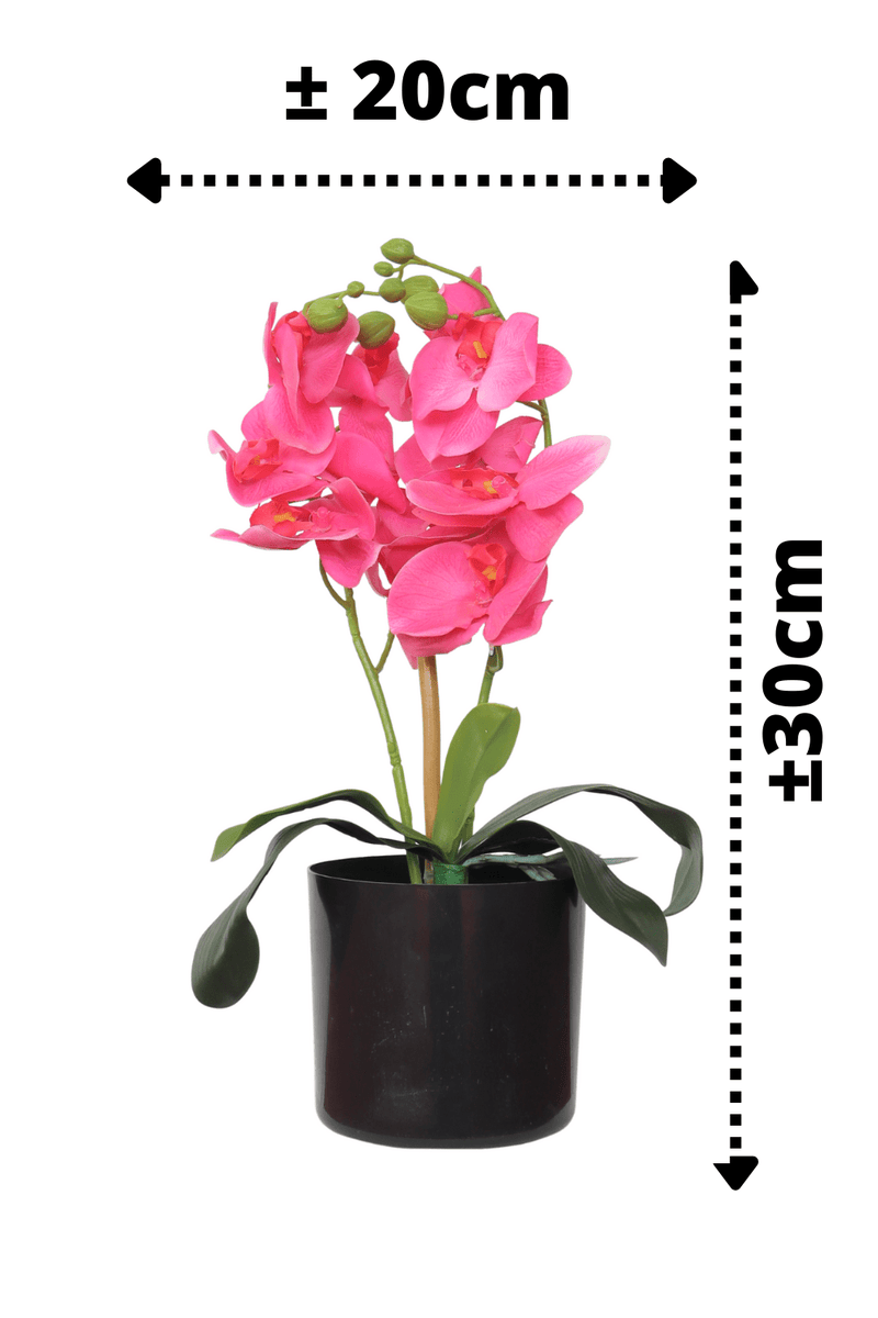 afmetingen Kunst Orchidee Roze 30cm