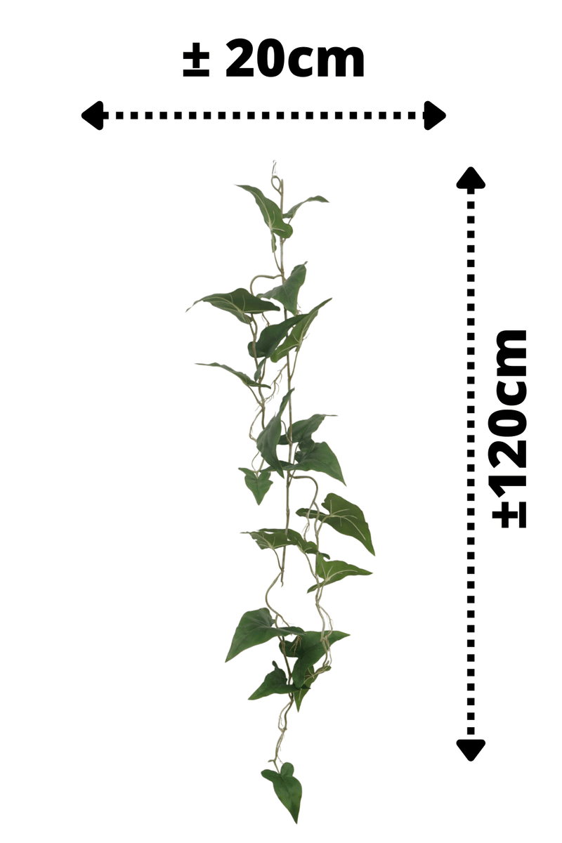 afmetingen Typhonium Kunstslinger 120cm