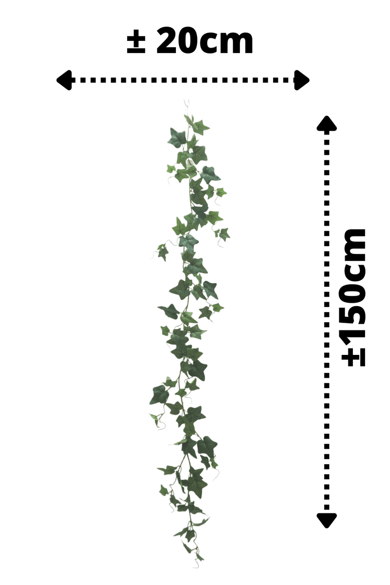 afmetingen Hedera Kunstslinger 2 150cm