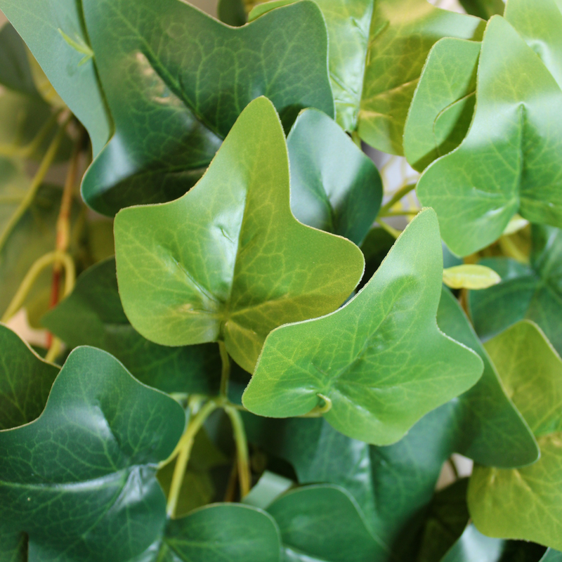 detailsshot bladeren hedera kunst hangplant