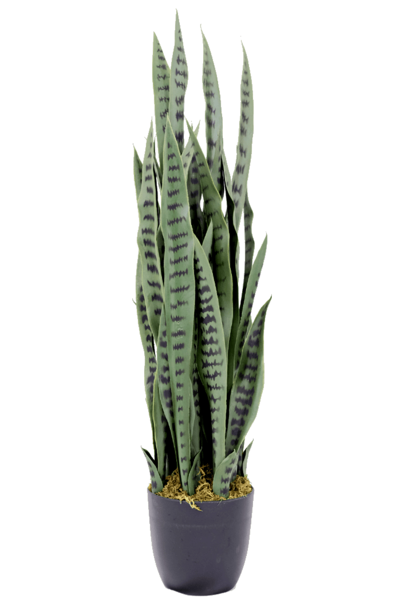 Sansevieria Kunstplant 100cm