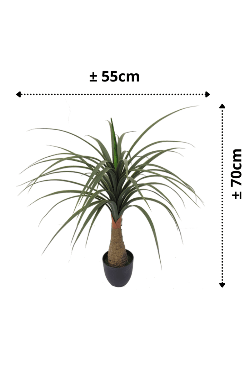 afmetingen Dracaena Kunstplant 70cm