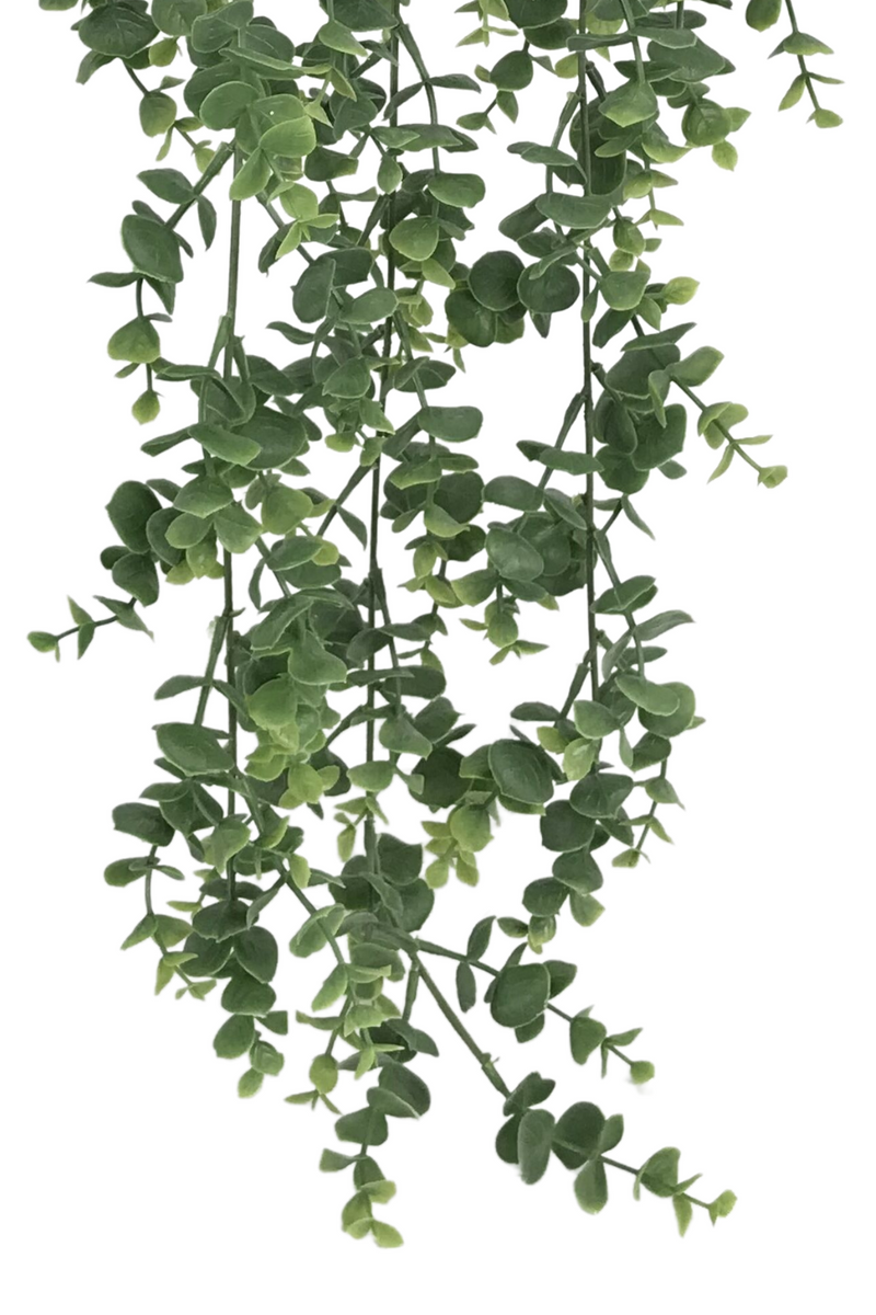 Plante Suspendue Eucalyptus Artificiel 60cm