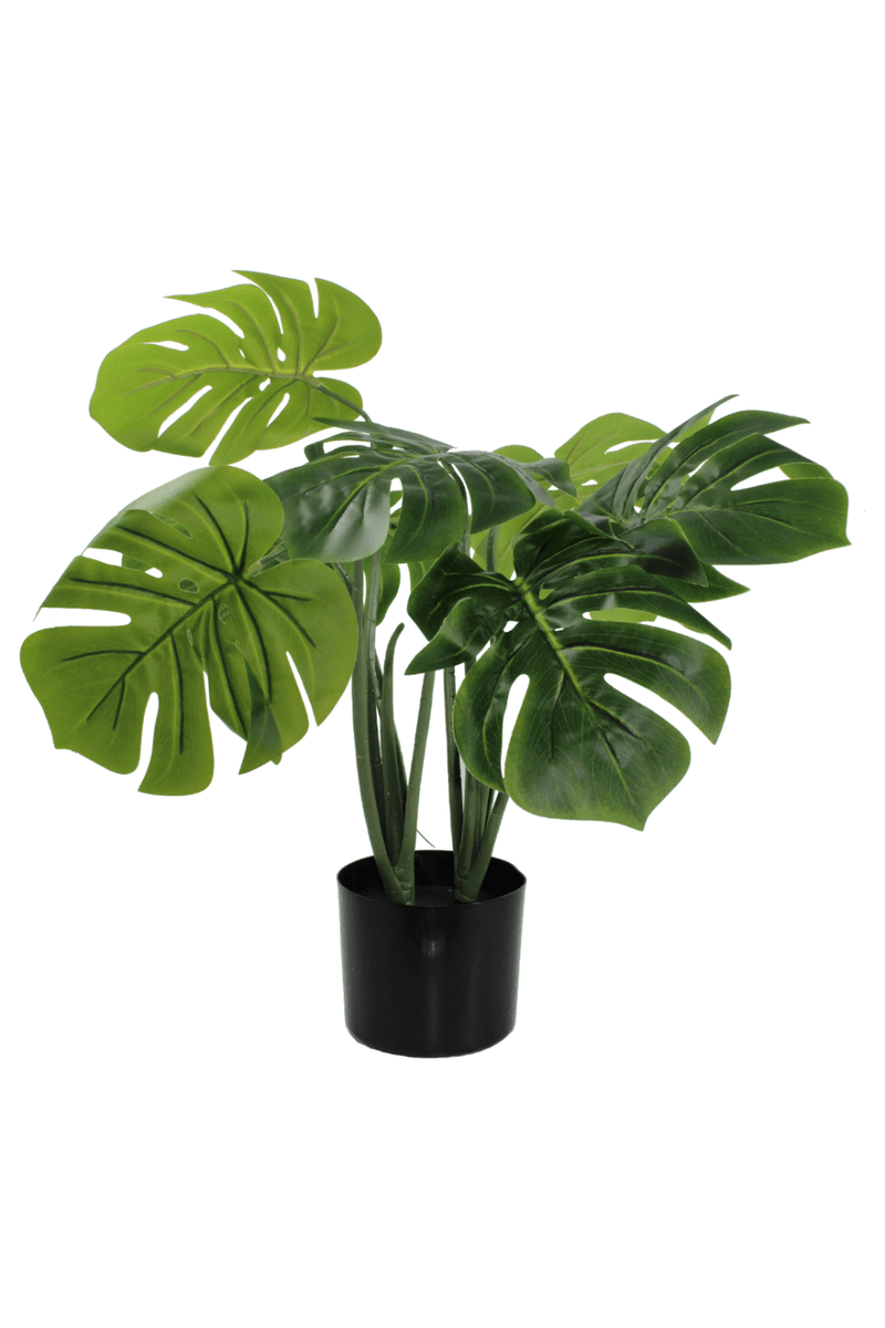 Monstera Kunstplant 65cm