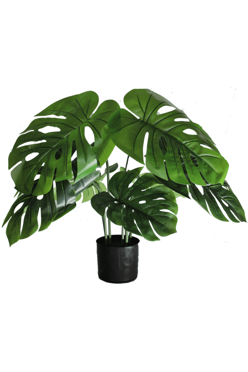 Monstera Kunstplant A 80cm