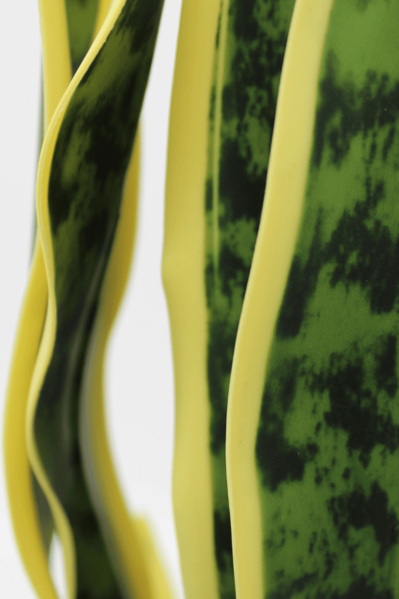 close up Sansevieria Kunstplant 50cm