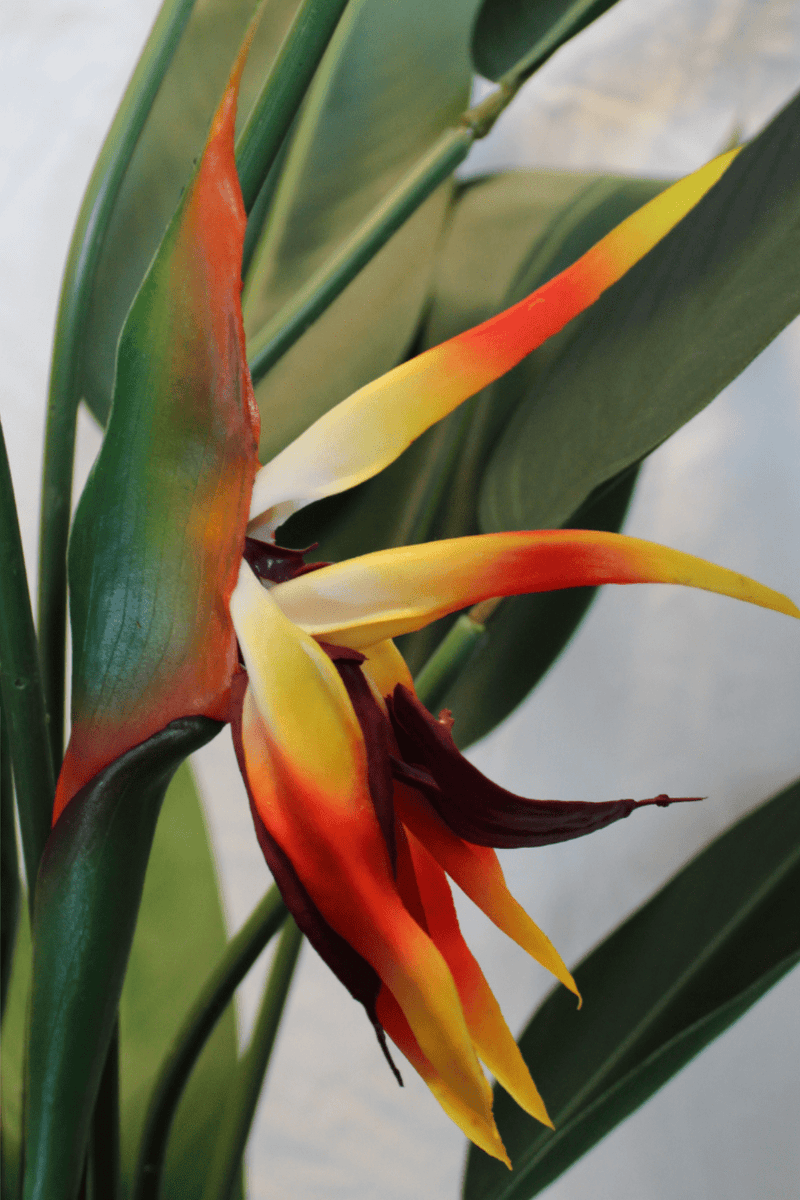 details bloem Strelitzia Kunstplant Met Bloem 110cm