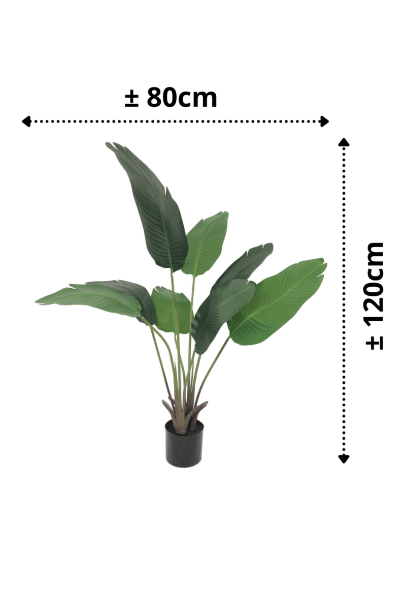 afmetingen Strelitzia Kunstplant 120cm