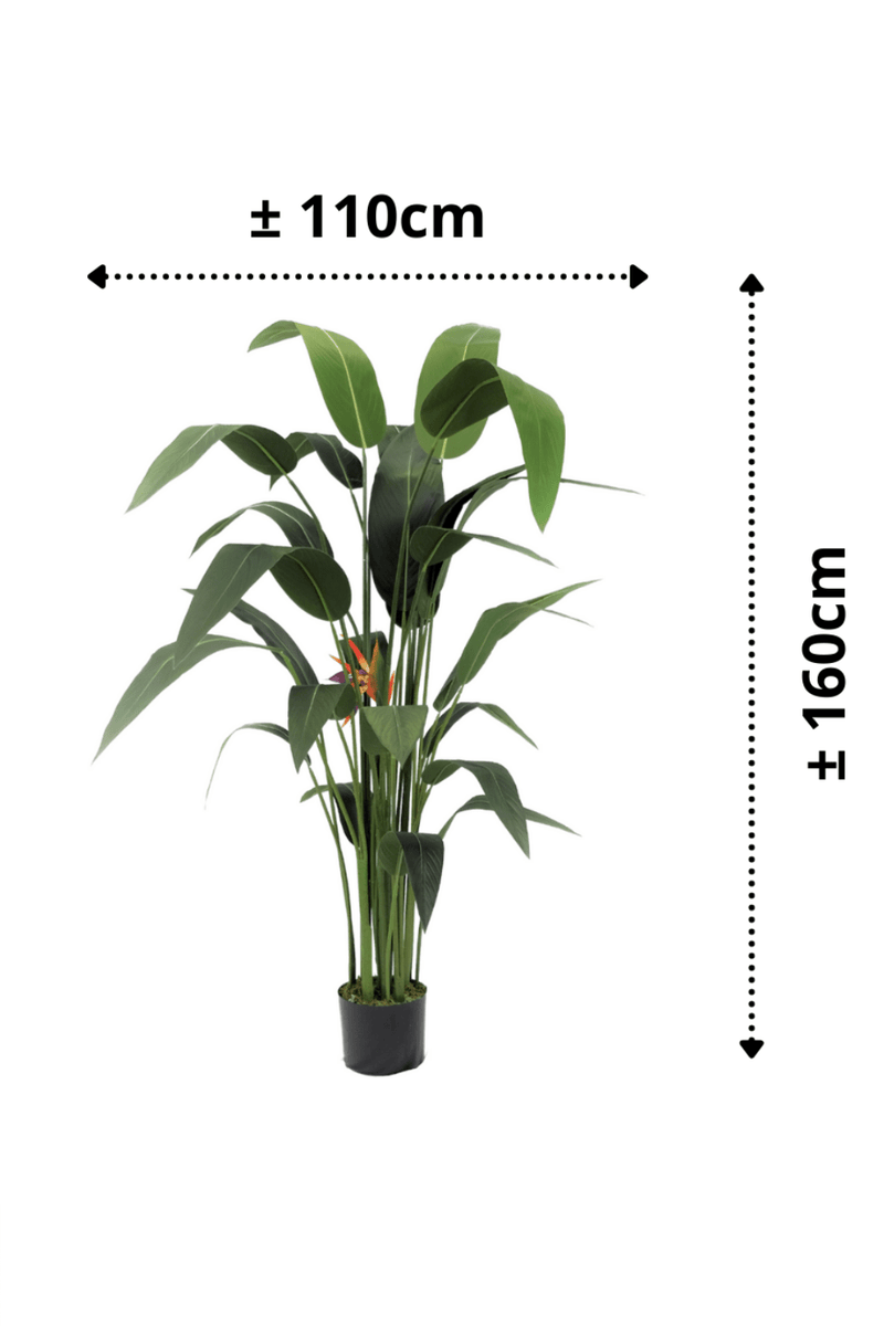 afmetingen Strelitzia Kunstplant Met Bloem 160cm