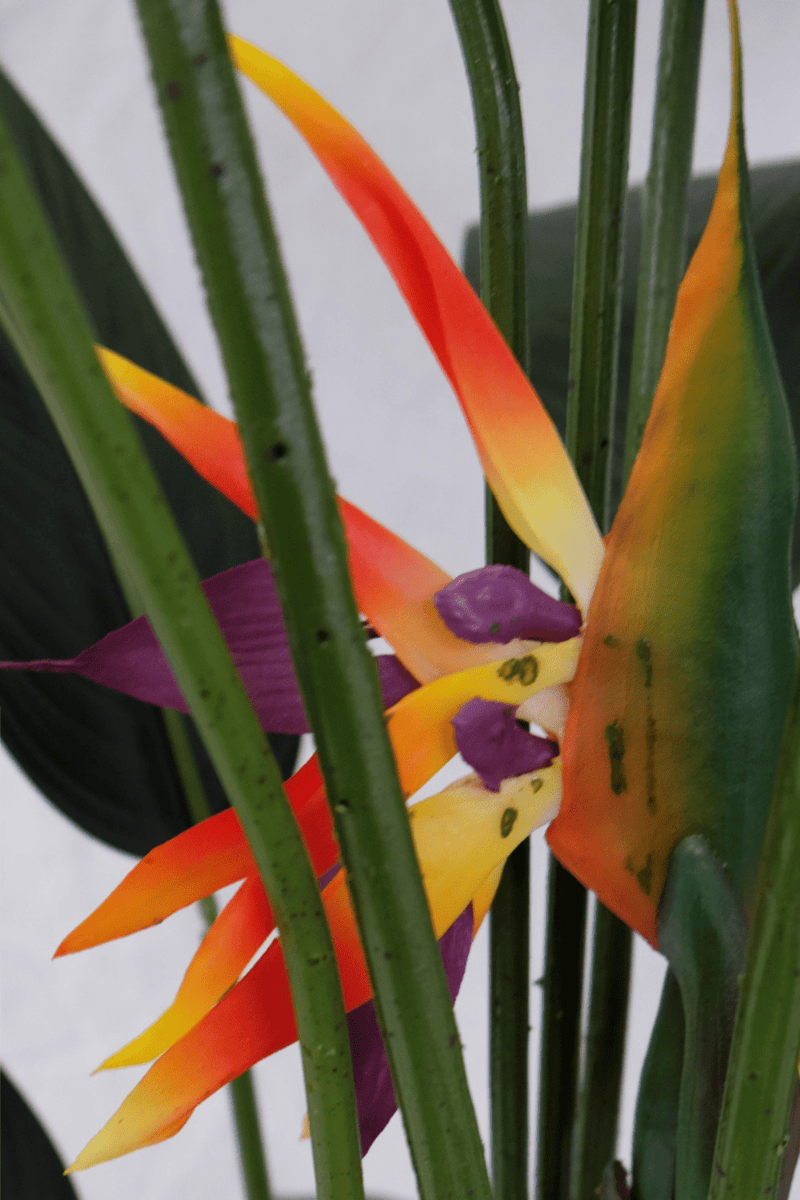 bloem Strelitzia Kunstplant Met Bloem 160cm