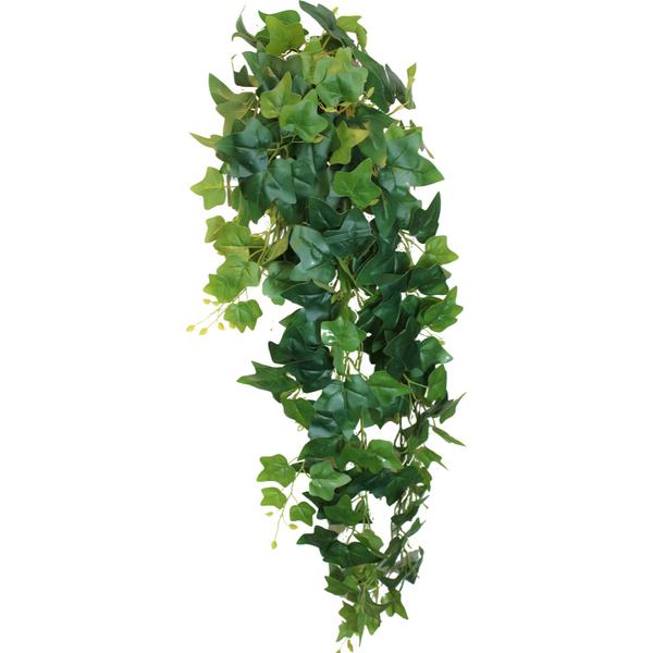 Hedera helix kunst hangplant